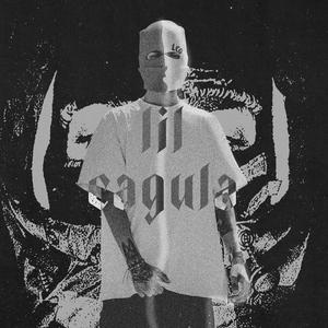 Nebuna (feat. Lil Cagula) [Explicit]