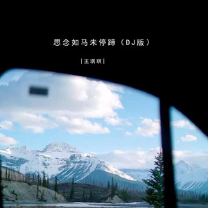 思念如马未停蹄 (DJ版)