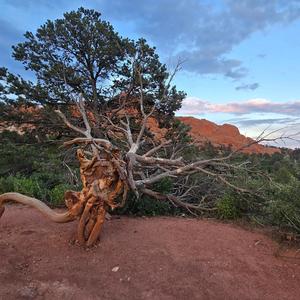 maybe we can fall in love later if you're not busy or whatever?