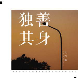 独善其身 (DJ伟伟版伴奏) - 沈石磊封面