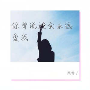 你曾说过会永远爱我
