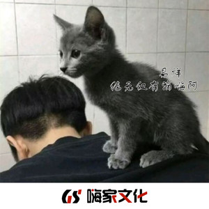 日常上头 (Remix)