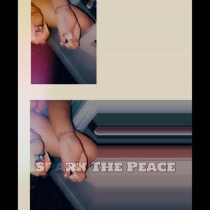 Spark The Peace (Explicit)