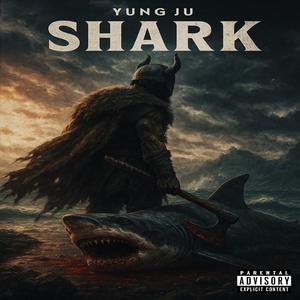 Shark (Explicit)