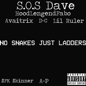 No Snakes No Fakes (Explicit)