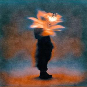 SI O NO (feat. Sly Timo) (Explicit)