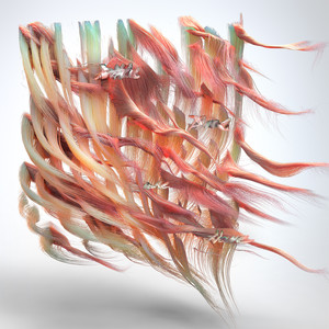 Washed Out