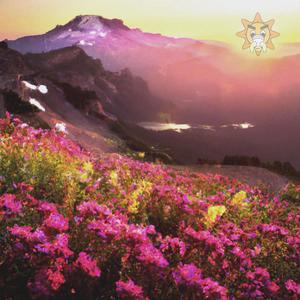 Make it Make Sense! (Explicit)