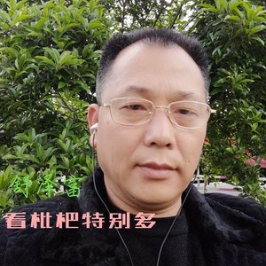 看枇杷特别多