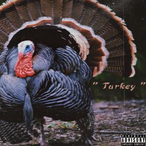 TURKEY (Explicit)