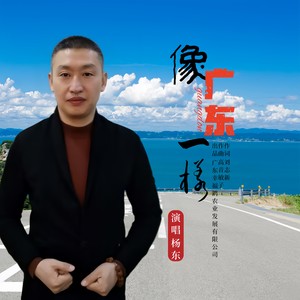 像广东一样-杨东