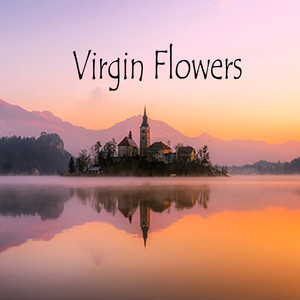 Virgin Flowers