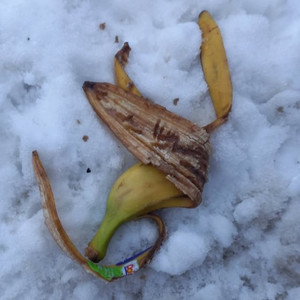 Fruit in Snow (not so Short Music Vol I)