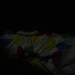 system FREAK freestyle