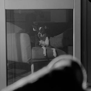 Mes prods (Explicit)