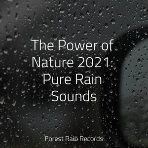 The Power of Nature 2021: Pure Rain Sounds