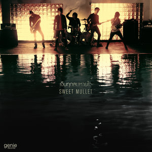 Sweet Mullet (New Single 2013)