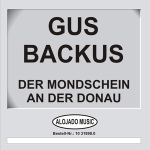 Der Mondschein an der Donau