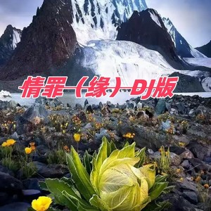 情罪(缘)DJ版 (Remix)