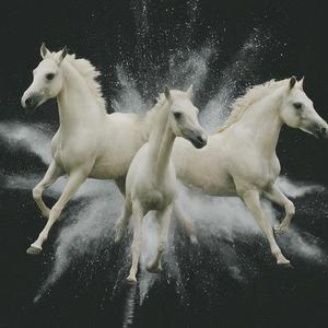 Tamme Hanken (Explicit)