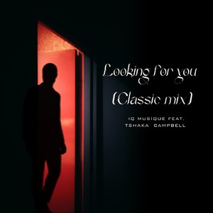 Looking For You (Classic Instrumental Mix)