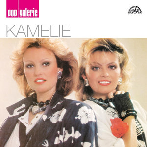 Pop galerie Kamelie