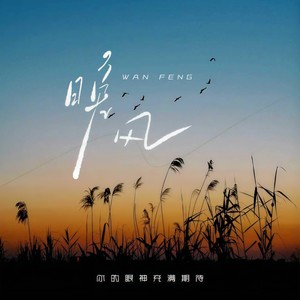 晚风 (你的眼神充满期待)