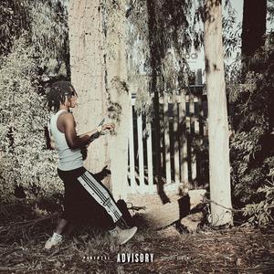 Not Into Fashion (Explicit)