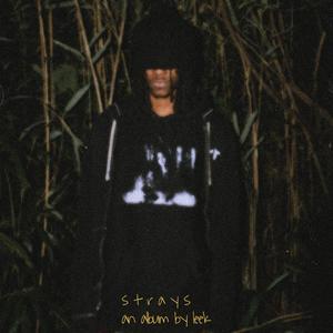 STRAYS (Explicit)