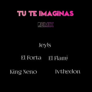 Tu Te Imaginas (Remix) [Explicit]