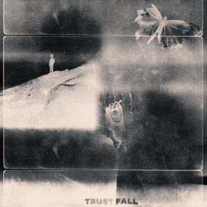 Trust Fall