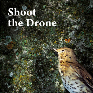 Shoot the Drone