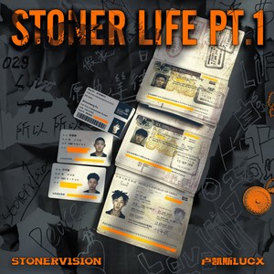 Stonerv1sion - 所以所以我