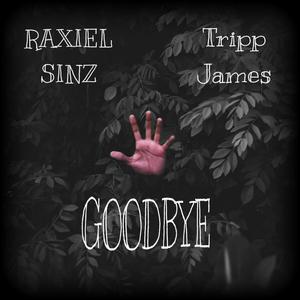 Goodbye (feat. Raxiel Sinz) [Explicit]