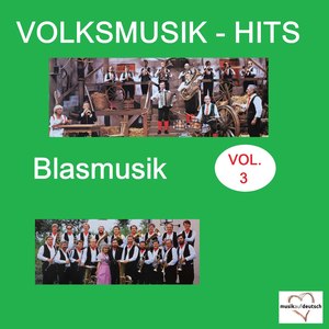 Volksmusik-Hits: Blasmusik, Vol. 3