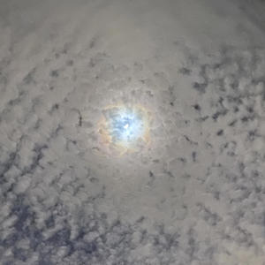 self hate (Explicit)