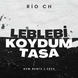 İbrahim Tatlıses - Leblebi Koydum Tasa (Remix)