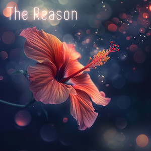 The Reason