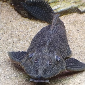 Поезд с отпуска