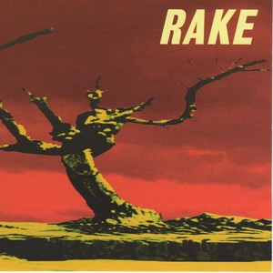 Rake