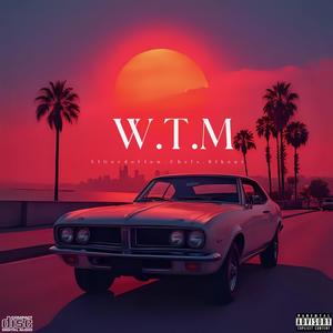 W.T.M (feat. Blkout407 & Chels) (Explicit)