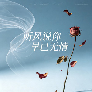 听风说你早已无情