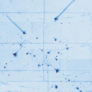 Arvid Häggström - Shanghai (Brandon Remix)