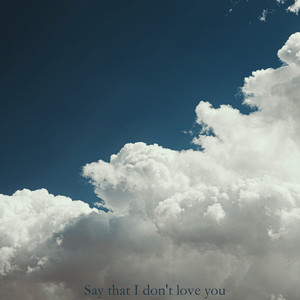 Say that I don't love you