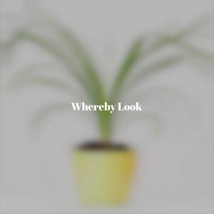 Whereby Look