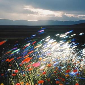 DJ木子李 - 消逝的迷雾（顶级氛围感）