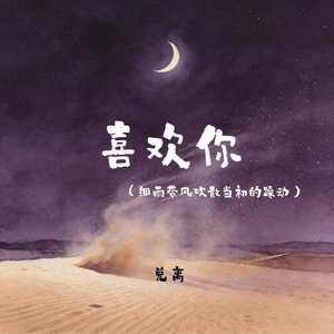 喜欢你(细雨带风吹散当初的躁动)