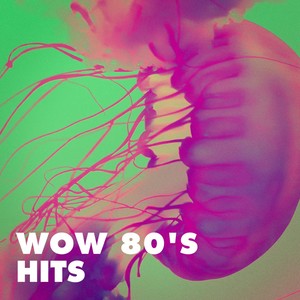 Wow 80's Hits