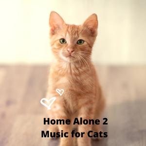 Home Alone 2 (Music for Cats)