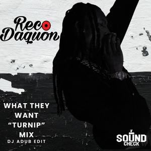 WHAT THEY WANT (feat. Reco Daquon) (Turnip Remix|Explicit)